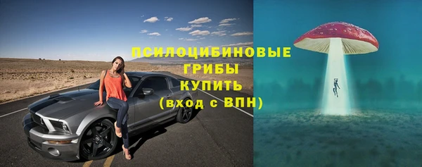 амф Алексин