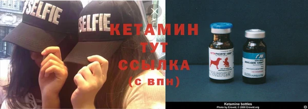 шишки Абинск