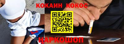 крисы Шелехов