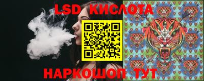 крисы Шелехов