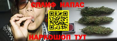 шишки Шебекино