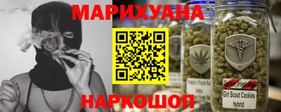крисы Шелехов
