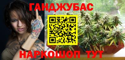 крисы Шелехов
