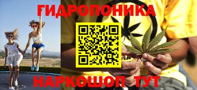 шишки Шебекино