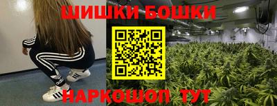 крисы Шелехов