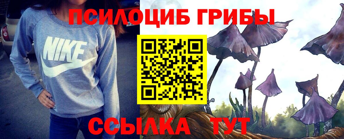 Псилоцибиновые грибы Cubensis Сарапул